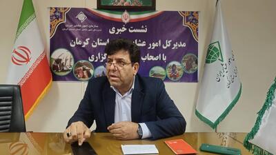  فعالیت ۳۵ هزار خانوار عشایری در ۵۶ درصد مساحت کرمان/ خشکسالی، مهم‌ترین مانع تولید عشایر