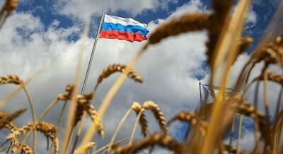  حراج بزرگ گندم در روسیه؛ ایران باید فورا وارد عمل شود | جهان نیوز