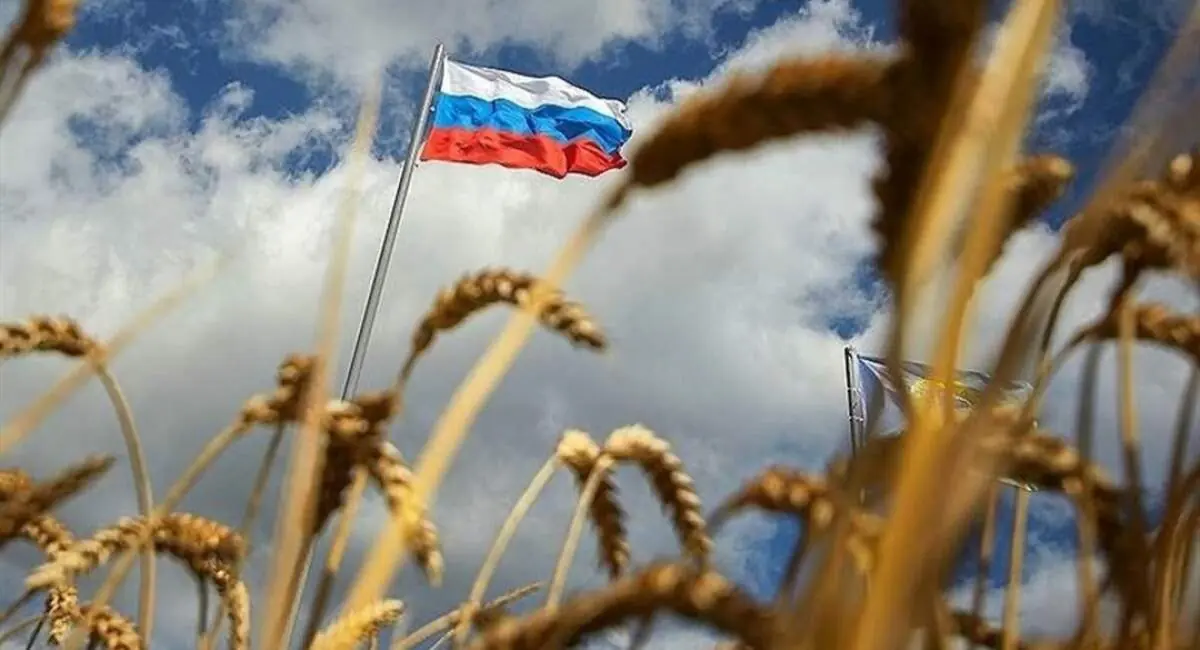 حراج بزرگ گندم در روسیه؛ ایران باید فورا وارد عمل شود | جهان نیوز