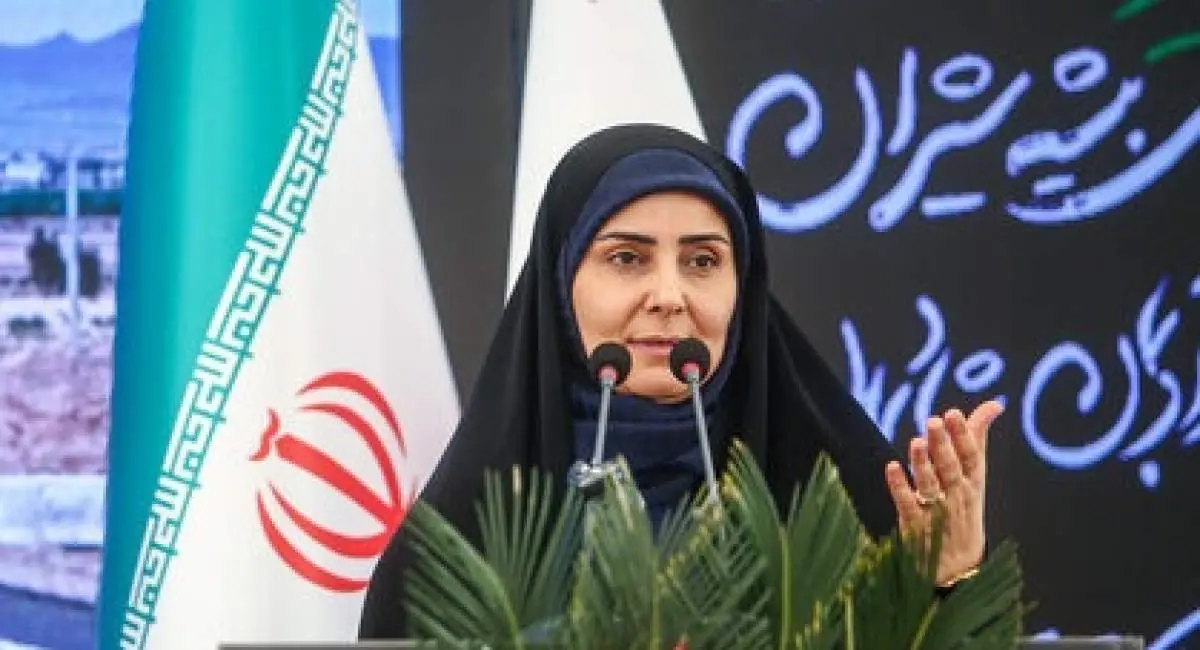  فرزانه صادق: هر زمینی ظرفیت ساخت مسکن ندارد | جهان نیوز