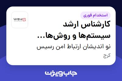 استخدام کارشناس ارشد سیستمها و روشها (Senior Business Process Expert) در نو اندیشان ارتباط امن رسیس