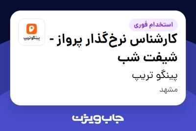 استخدام کارشناس نرخگذار پرواز - شیفت شب - آقا در پینگو تریپ