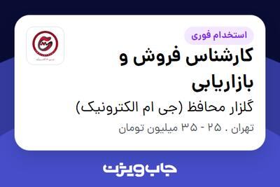  استخدام کارشناس فروش و بازاریابی - خانم در گلزار محافظ (جی ام الکترونیک)