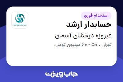  استخدام حسابدار ارشد در فیروزه درخشان آسمان