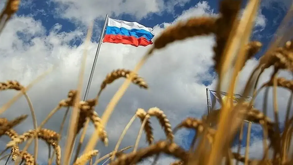  حراج بزرگ گندم در روسیه؛ ایران فورا وارد عمل می‌شود