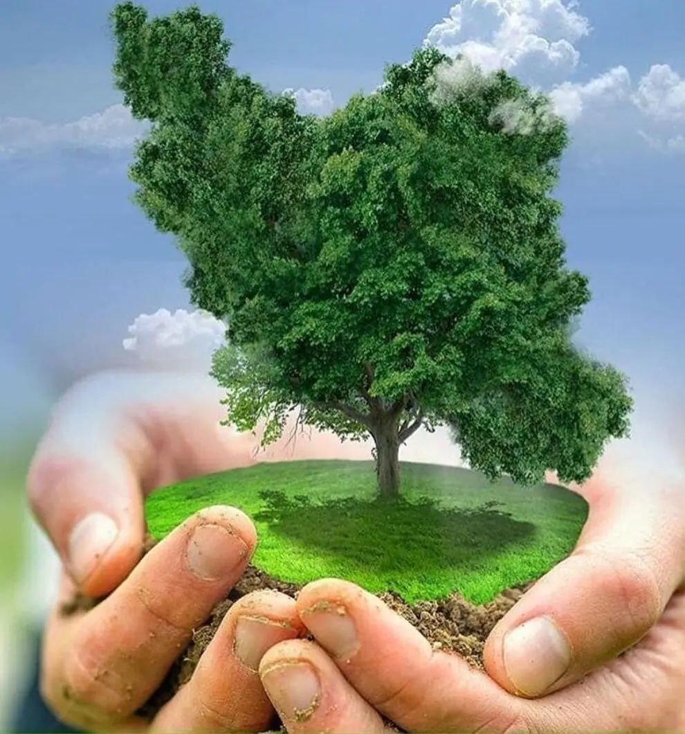 درس های جنبش های محیط زیستی برای مجازات متخلفان دولتی و غیردولتی/از «شایعهپراکنی» تا «رویارویی مستقیم»
