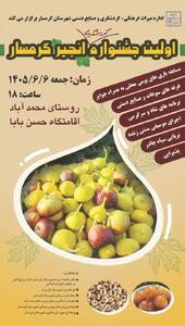 نخستین جشنواره گردشگری انجیر گرمسار برگزار میشود