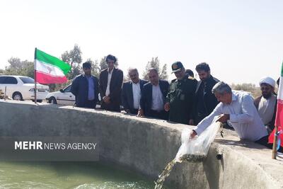 آغاز عملیات احداث و بهرهبرداری از ۱۵ واحد استخر پرورش ماهی در زهک