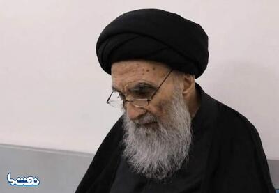  حمایت آیت‌الله سیستانی از یتیمان جنگ‌زده لبنان | نفت ما