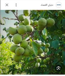 بخش دوم سریالآوای باران - پارس فوتبال