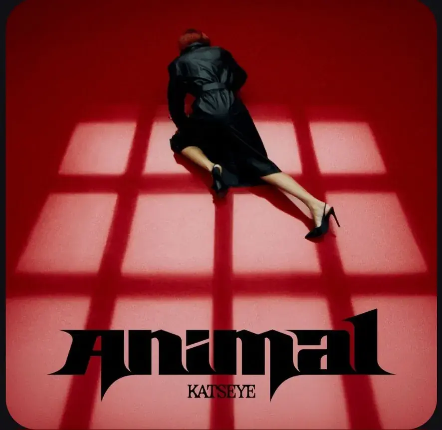  دانلود آهنگ Katseye - Animal - پارس فوتبال