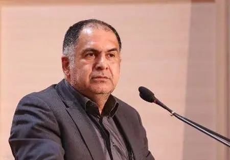 حامی دولت: برای وعده وزیر «تَره خرد نکنید»!