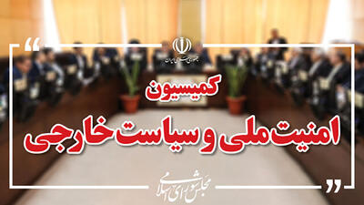 بگومگوی رئیس کمیسیون امنیت ملی با نماینده دولت در مجلس / دلخوش : چرا در بررسی طرح مقابله با نفوذ درجلسه کمیسیون حضور نداشتم؟