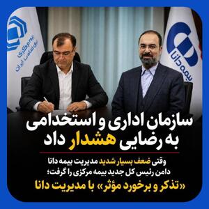  ضعف مدیرعامل بیمه دانا دامن رییس کل بیمه مرکزی را گرفت