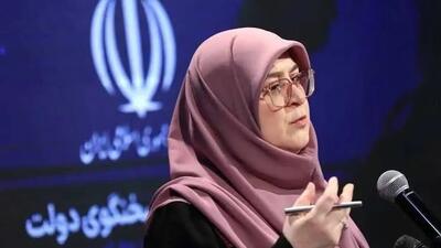 ببینید| سخنگوی دولت: در میدان ولیعصر یک خانمی به من گفت الهی بمیری!