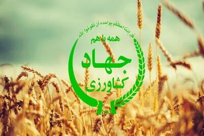  بازی جدید وزارت جهاد با برنج و چای! / ترفند جدید واردکنندگان برای دور زدن سقف‌های دولتی