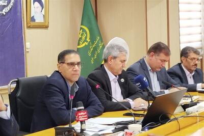 تضمین تولید پایدار با رشد چشمگیر خرید گندم و توزیع بذر در خراسان رضوی - تسنیم