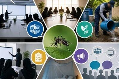  تشکیل کمیته‌های تخصصی مبارزه با «پشه آئدس» در استان بوشهر - تسنیم