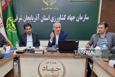 سایه گرانی نهادهها بر امنیت غذایی/ ورود فناوری هستهای به کشاورزی - تسنیم