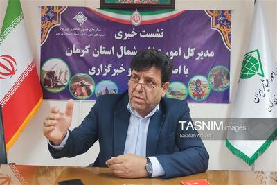 20 تا 25 درصد مناطق عشایری استان کرمان فاقد پوشش تلفن همراه است - تسنیم