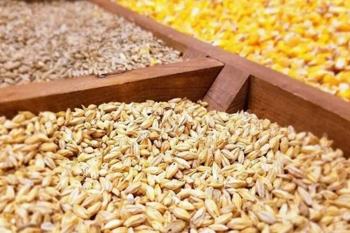 دستور رئیس جمهور برای پرداخت فوری مطالبات ارزی واردکنندگان به کجا رسید؟