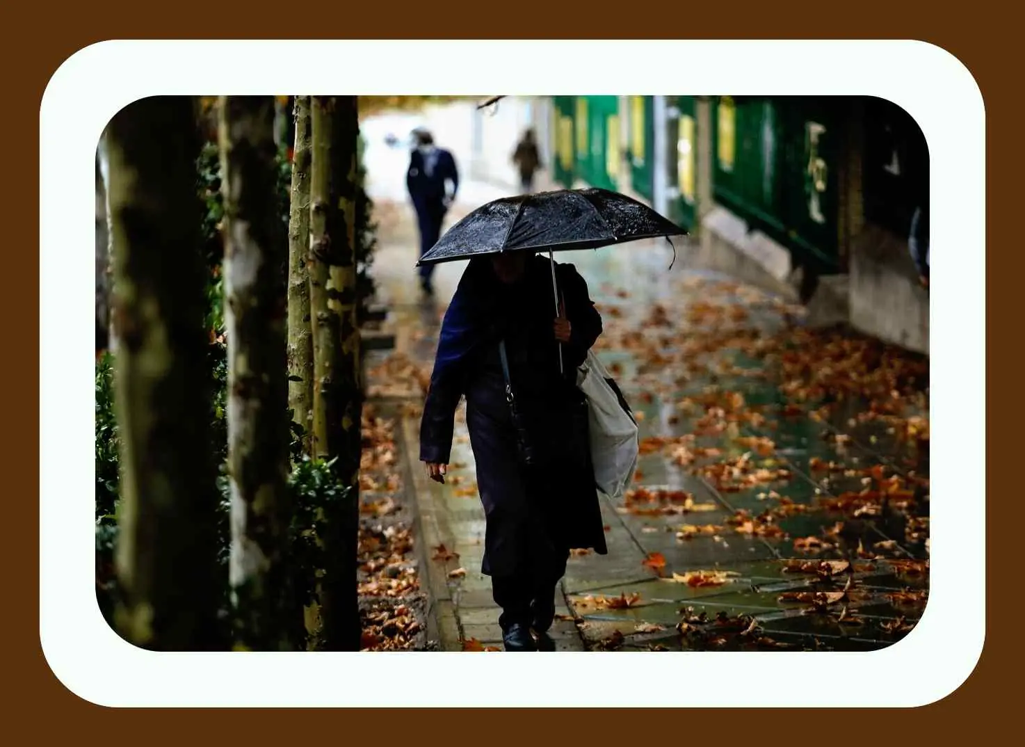 پیشبینی هواشناسی کشور/ ۱۳ استان درگیر بارندگی و رعد و برق