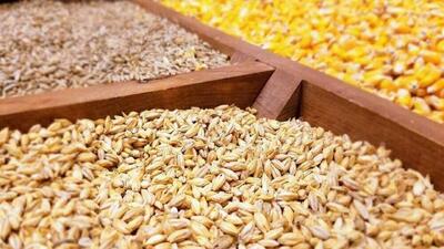 دستور رئیس جمهور برای پرداخت فوری مطالبات ارزی واردکنندگان به کجا رسید؟
