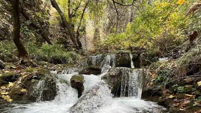 طبیعت زیبای شهرستان لردگان در تابستان ۱۴۰۵ + فیلم