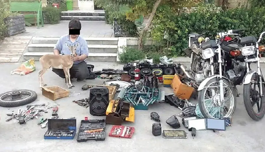 زندگی برهآهو در انباری بزرگ اموال سرقتی طبرسی شمالی مشهد | آخرین خبر
