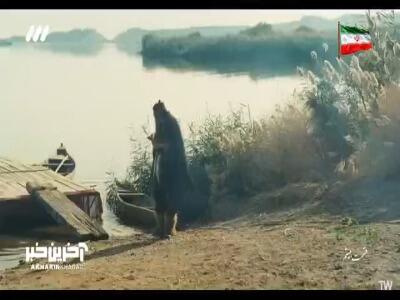 التماست میکنم رهایش کن...! | آخرین خبر