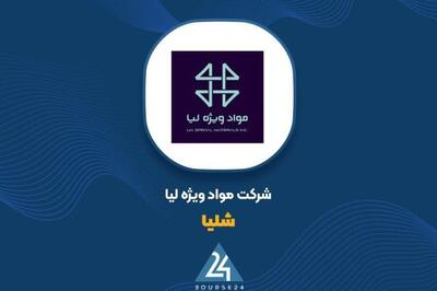  تداوم رشد فروش «شلیا»؛ افزایش ۶۴ درصدی درآمد نسبت به سال گذشته