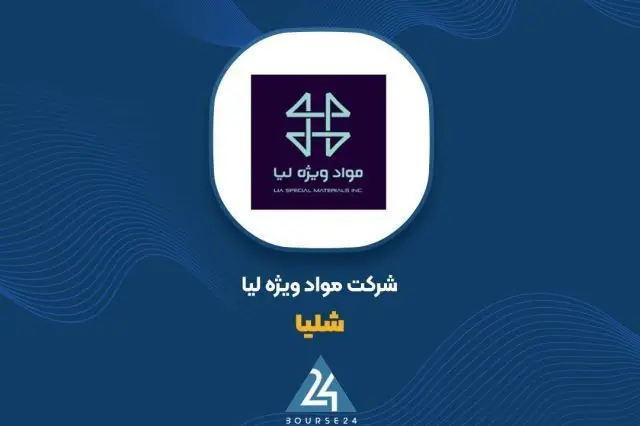 تداوم رشد فروش «شلیا»؛ افزایش ۶۴ درصدی درآمد نسبت به سال گذشته