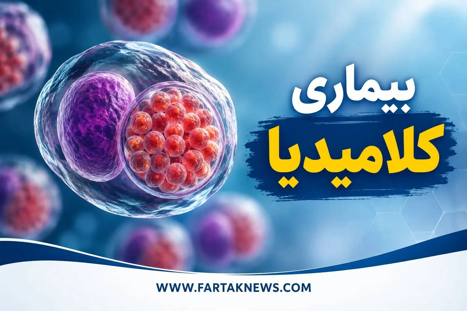  بیماری خاموش؛ چرا نباید کلامیدیا را دست‌کم بگیرید؟ / از علائم تا درمان عفونت جنسی