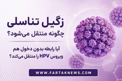  زگیل تناسلی چگونه منتقل می‌شود؟ / آیا رابطه بدون دخول هم ویروس HPV را منتقل می‌کند؟