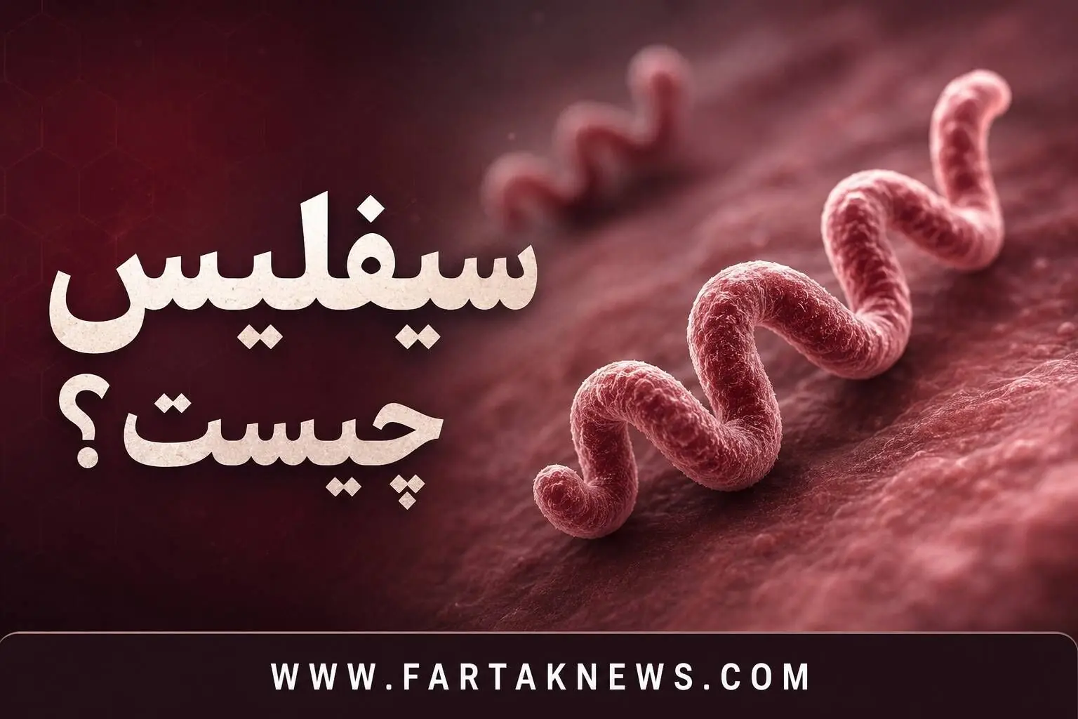  مراحل چهارگانه سیفلیس را بشناسید / چرا تشخیص زودهنگام این بیماری حیاتی است؟