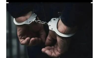  برخورد با متخلفان منابع طبیعی فارس/ از دستگیری آتش‌افروزان ممسنی تا کشف بیش از ۱۱ تن چوب قاچاق