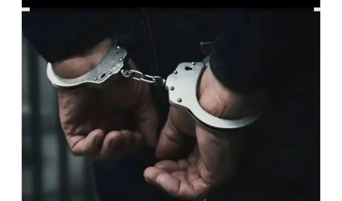 برخورد با متخلفان منابع طبیعی فارس/ از دستگیری آتشافروزان ممسنی تا کشف بیش از ۱۱ تن چوب قاچاق