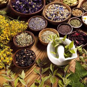 داروسازی سنتی ایران در مسیر تثبیت جایگاه علمی و جهانی قرار دارد