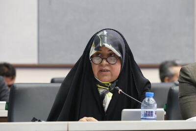 صدور ۸۰ بخشنامه تجاری در مدت کوتاه، رمق بخش خصوصی را گرفته است