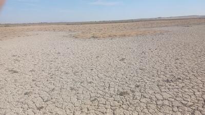 احیای مسیر انتقال آب رودخانه شور دیرین به تالاب بندعلیخان آغاز شد
