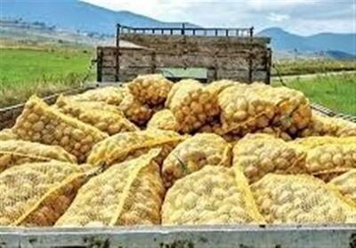 صادرات سیبزمینی تا پایان سال ممنوع شد
