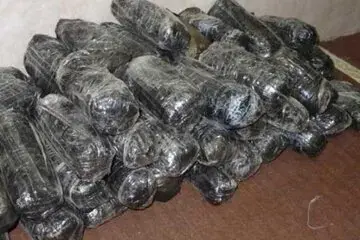کشف محموله ۵۴۵ کیلویی تریاک در اتوبان آزادگان/ پلمب کارگاه شامپوی تقلبی در تهران