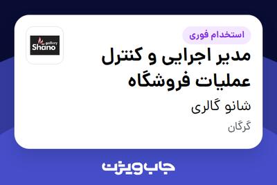استخدام مدیر اجرایی و کنترل عملیات فروشگاه - خانم در شانو گالری