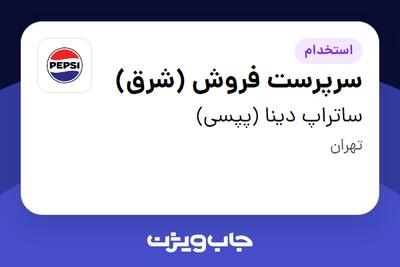  استخدام سرپرست فروش (شرق) - آقا در ساتراپ دینا (پپسی)