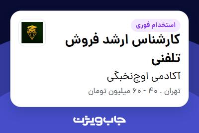  استخدام کارشناس ارشد فروش تلفنی در آکادمی اوج‌نخبگی