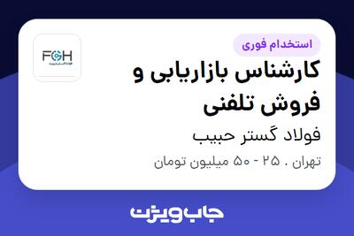  استخدام کارشناس بازاریابی و فروش تلفنی - خانم در فولاد گستر حبیب