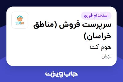  استخدام سرپرست فروش (مناطق خراسان) در هوم کت