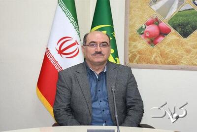  واریز یارانه نقدی کودهای فسفاته به حساب کشاورزان آذربایجان شرقی - مجله اینترنتی کولاک