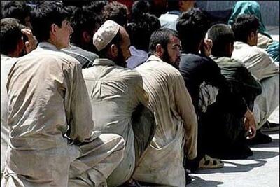 جمع آوری ۸۶ نفر اتباع بیگانه غیرمجاز در زابل