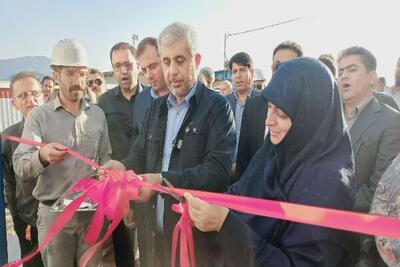  سعیدی: فرش قرمز جنوب کرمان برای سرمایه گذاران پهن است